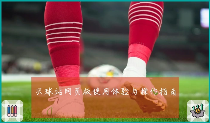 买球站网页版使用体验与操作指南