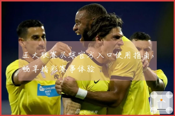 五大联赛买球官方入口使用指南，畅享精彩赛事体验