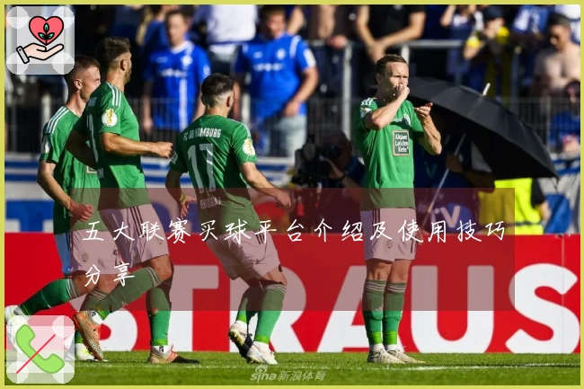 五大联赛买球平台介绍及使用技巧分享