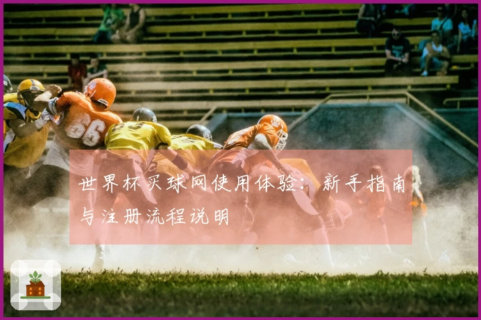 世界杯买球网使用体验:新手指南与注册流程说明
