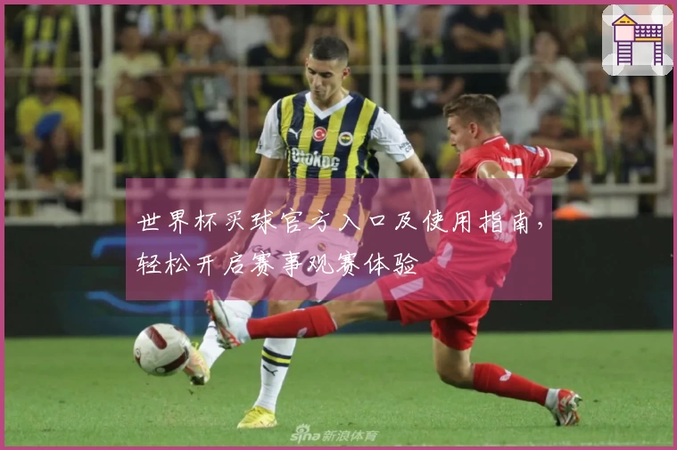 世界杯买球官方入口及使用指南，轻松开启赛事观赛体验