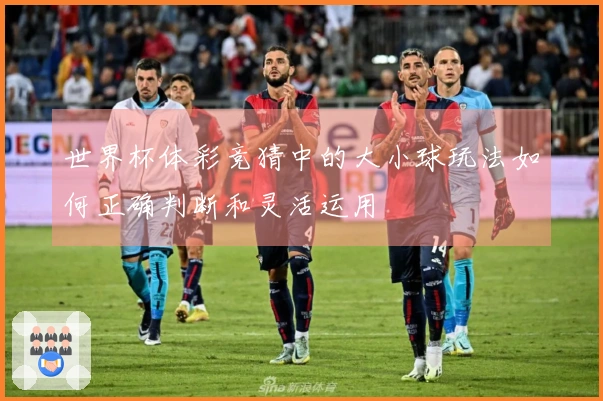 世界杯体彩竞猜中的大小球玩法如何正确判断和灵活运用