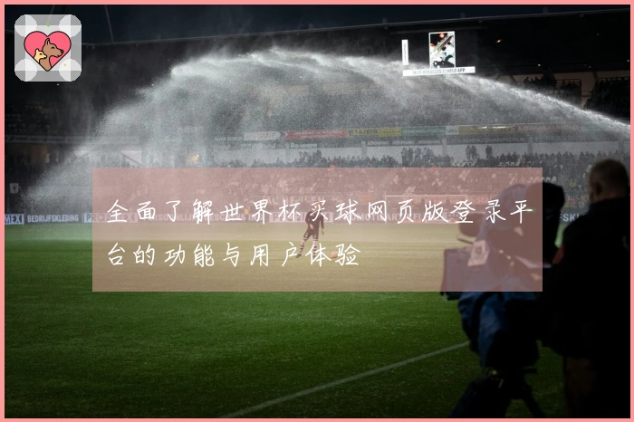 全面了解世界杯买球网页版登录平台的功能与用户体验